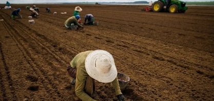 Número de pessoas empregadas no agronegócio representa 26% do total de trabalhadores do País