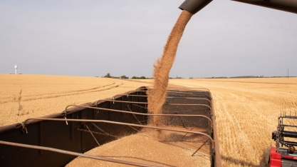 Balança comercial tem superávit de US$ 6,133 bilhões em agosto