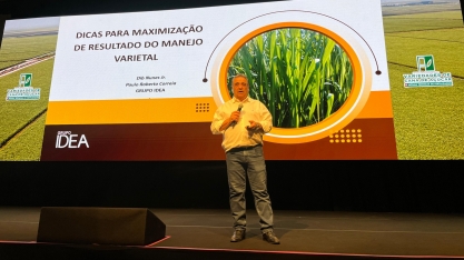 Manejo varietal: gestão por metas e análise econômica ganham espaço no setor sucroenergético
