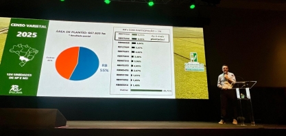RIDESA projeta novas variedades RB para ampliar competitividade da canavicultura
