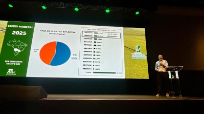 RIDESA projeta novas variedades RB para ampliar competitividade da canavicultura