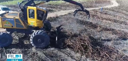 Evento de inovação em cultivo de cana-de-açúcar movimenta o setor sucroenergético alagoano