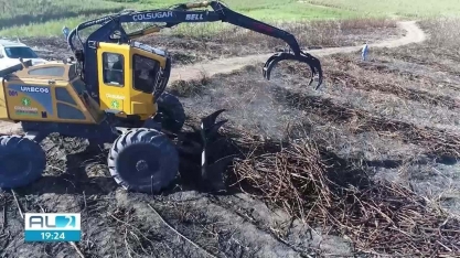 Evento de inovação em cultivo de cana-de-açúcar movimenta o setor sucroenergético alagoano