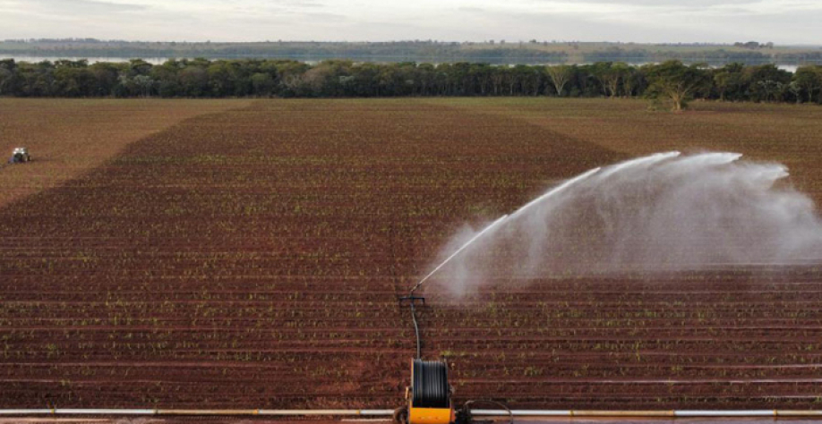 Irrigação em lavoura de cana-de-açúcar. Foto: Leandro dos Santos Morais