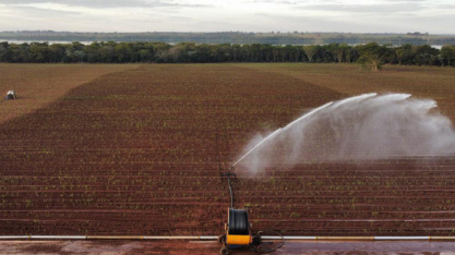 Estudo mostra que bioeletricidade da cana garante estabilidade na seca, quando cai a geração hidrelétrica.