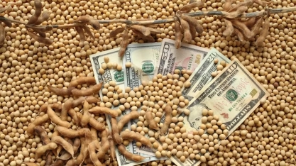 Renda no campo deve desacelerar, estima banco