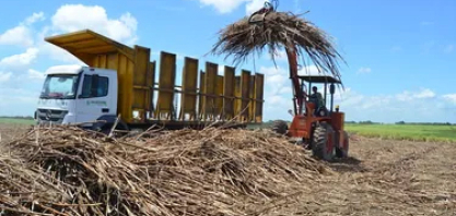 Asplana defende subvenção para evitar colapso do setor da canavieiro