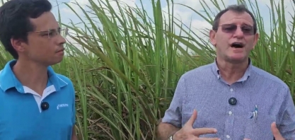 Para sucesso da irrigação por gotejo, Netafim mantém estrutura de atendimento na Japungu o ano todo