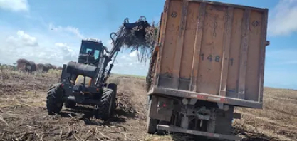 Safra de cana 25/26 pode crescer 1,8% em AL, com chuvas acima da média