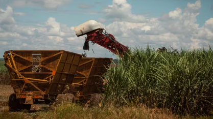 Raízen vendeu menos açúcar e etanol próprios no segundo trimestre