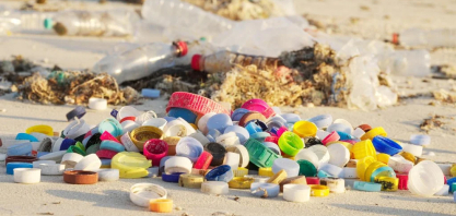 A cana como solução para bioplásticos e outros produtos sustentáveis