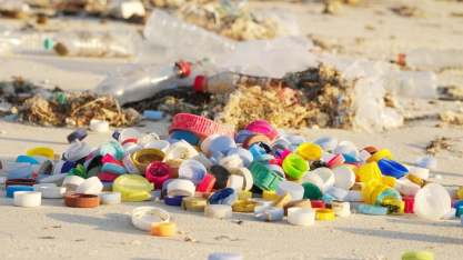 A cana como solução para bioplásticos e outros produtos sustentáveis