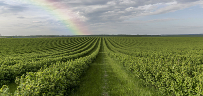 Hedgepoint antecipa tendências para a safra 2025/26