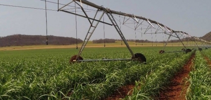 Na irrigação, monitoramento é tão necessário quanto a água
