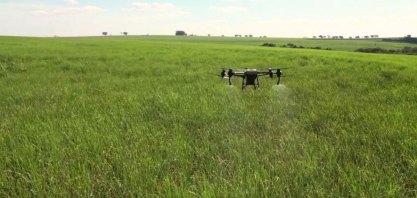 Drones potencializam agricultura regenerativa na produção de cana