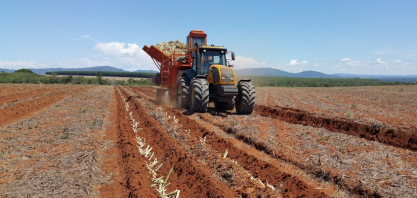 Cyan Analytics e DOT Energia lançam modelo pioneiro que permite pagar serviços com energia gerada pela própria empresa