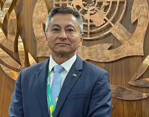 Flavio Mathuiy, assessor do Brasil na IMO: “Nossa preocupação é que não haja um direcionamento para excluir os biocombustíveis de primeira geração” — Foto: Divulgação