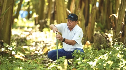 Do solo à colheita, o papel essencial do engenheiro agrônomo na irrigação