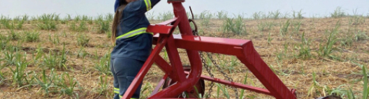 Mulheres ocupam mais espaços na Usina Estiva
