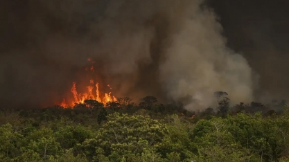 Calor e seca põem maior parte do Estado de SP em emergência para risco de incêndio