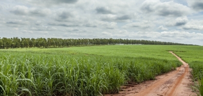 Comunicação e identidade do setor sucroenergético em debate na 24ª Feira Internacional do Livro