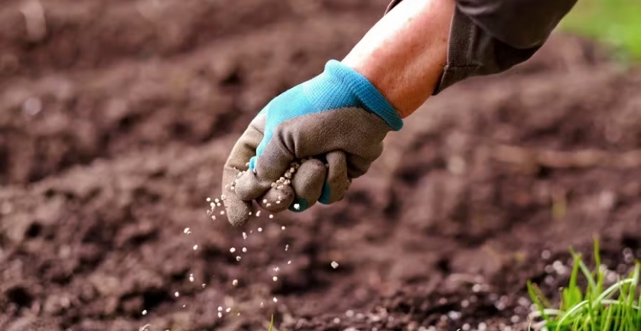 Relação de troca entre produçao e fertilizantes piorou para maioria das commodites — Foto: Getty Images