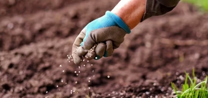 Alta nos custos e queda das commodities pioram relação de troca no agro; café é exceção