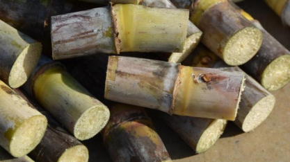 Ferramenta brasileira RenovaCalc avança na avaliação da pegada de carbono dos combustíveis sustentáveis