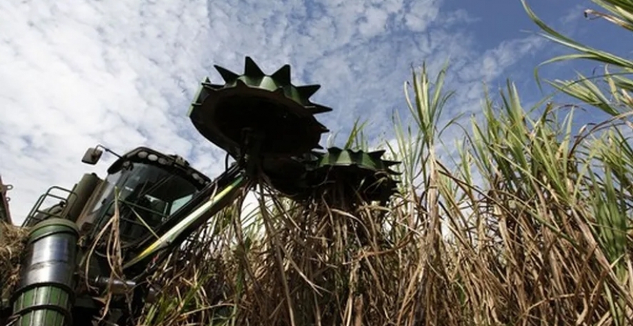 Usina Continental tem capacidade de processar mais de 2,5 milhões de toneladas de cana por safra — Foto: Globo Rural