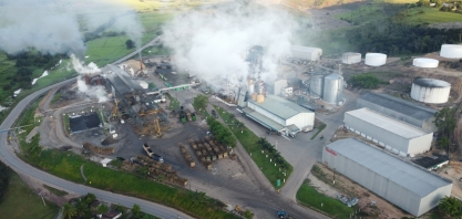 Pindorama revoluciona agronegócio alagoano através do incentivo ao cultivo de sorgo