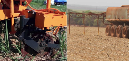 Inseticida no corte de soqueira ou junto à vinhaça: qual método funciona melhor contra o Sphenophorus?