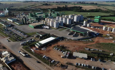 Grupo Potencial dá início à compra antecipada de soja