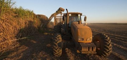 Raízen abre mais de 400 vagas para programa de aprendiz
