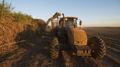 Raízen abre mais de 400 vagas para programa de aprendiz