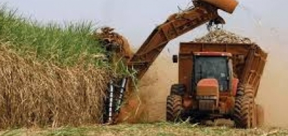 “Etanol não pode ser tratado como moeda de troca [com os EUA]”, defende setor