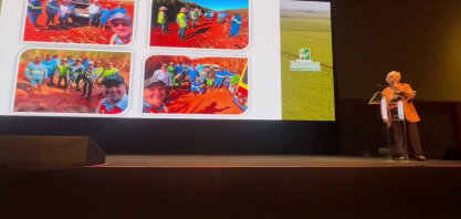 Uso de regulador de crescimento mostra ganhos na qualidade da cana e na eficiência industrial