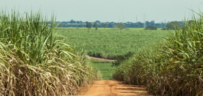Nova era dos biocombustíveis: Brasil amplia mistura de renováveis e desafia São Paulo a reforçar liderança no setor sucroenergético