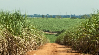 Nova era dos biocombustíveis: Brasil amplia mistura de renováveis e desafia São Paulo a reforçar liderança no setor sucroenergético