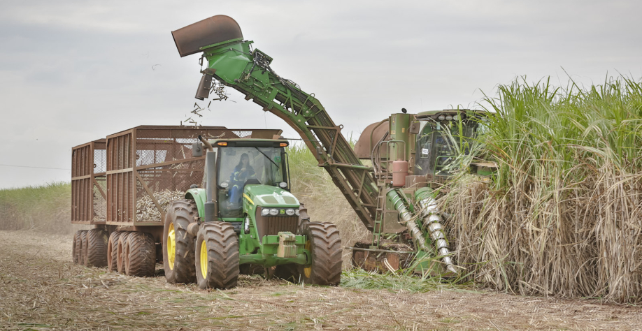 Foto: Arquivo CanaOnline