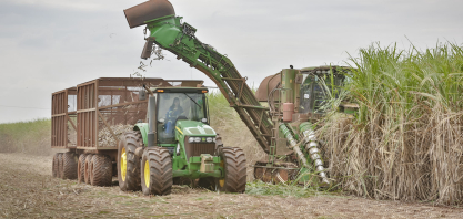 Cana/Unica: Centro-Sul processa 34,037 milhões de t na 1ª quinzena de outubro (+0,30%)