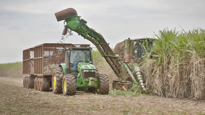 Cana/Unica: Centro-Sul processa 34,037 milhões de t na 1ª quinzena de outubro (+0,30%)
