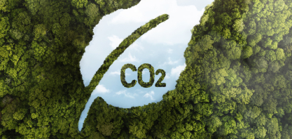USP cria primeira registradora de créditos de carbono do país e impulsiona mercado nacional