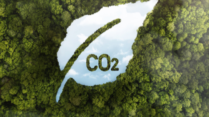 USP cria primeira registradora de créditos de carbono do país e impulsiona mercado nacional