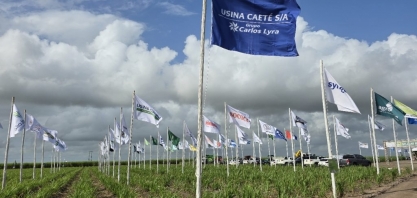 Usina Caeté participa do Cana Show Inovação com destaque para a tecnologia de mudas pré-brotadas