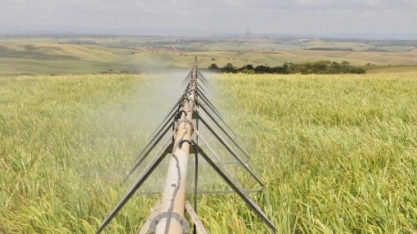 Conselho Estadual de Recursos Hídricos aprova repasse de R$ 500 mil para 21 comitês de bacias paulistas
