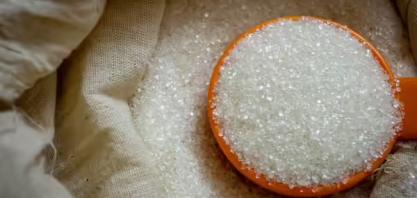 Eles  valem US$ 4 bi e fazem negócios com Trump: conheça os barões do açúcar da Flórida