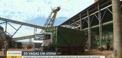 Usina em Pradópolis abre 20 vagas para mecânico de manutenção agrícola