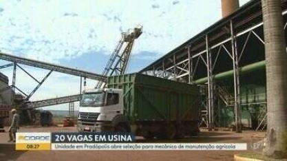 Usina em Pradópolis abre 20 vagas para mecânico de manutenção agrícola