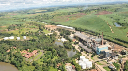 Os tratos culturais dos canaviais na Usina Petribu