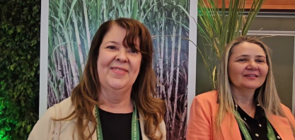 Pesquisas da Ridesa avançam na direção de cana tolerantes à seca e aceleração de lançamentos